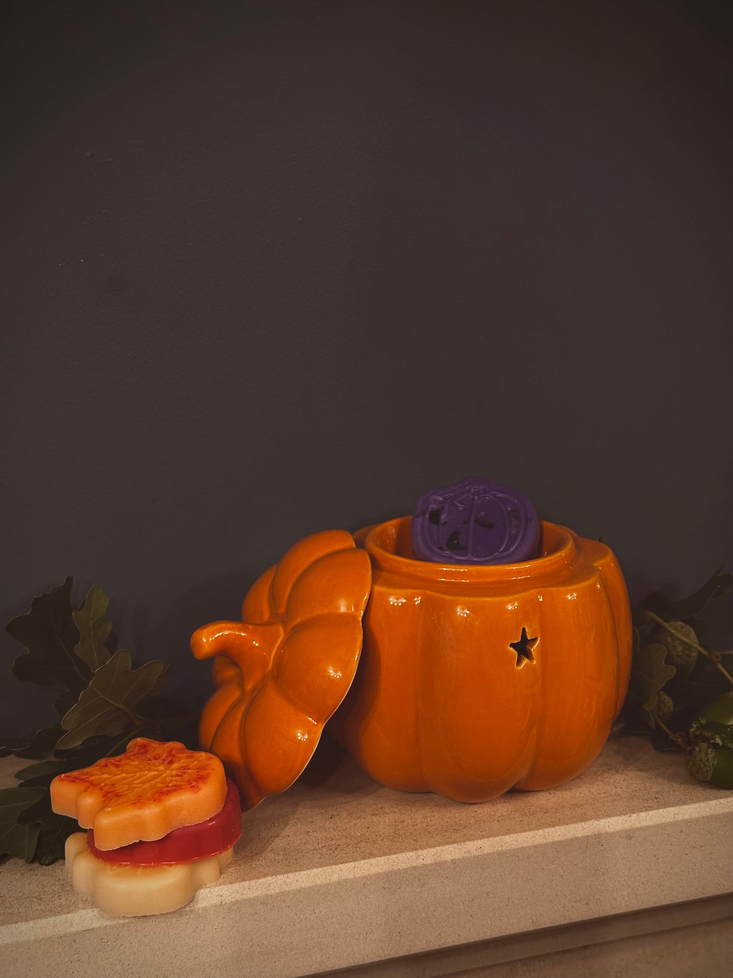 Whispers of Autumn Wax Melt Sample Box π
