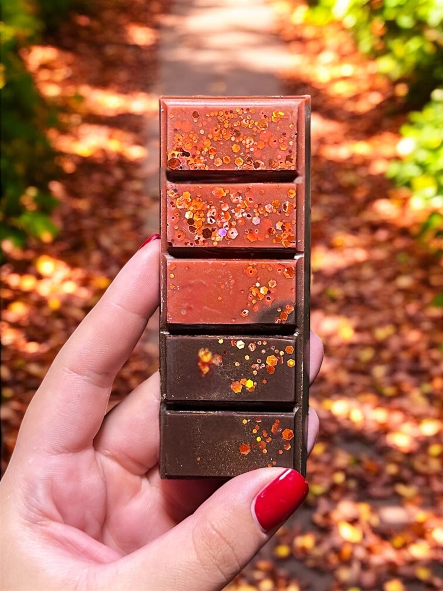 Fallen Leaves Snapbar ππ²