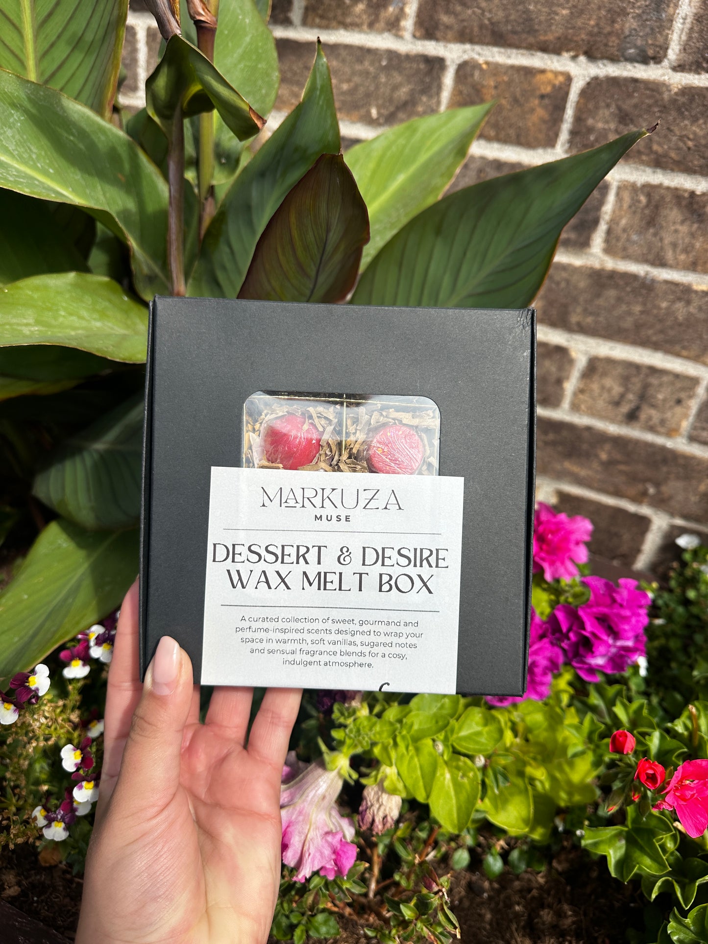Dessert & Desire Wax Melt Box 🧁