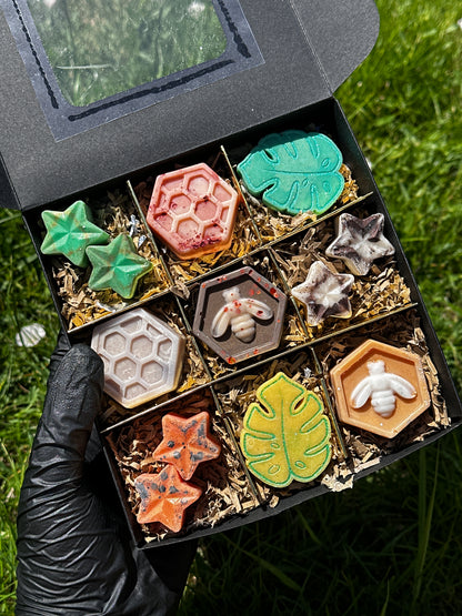 Woodland Calm Wax Melt Box 🐻