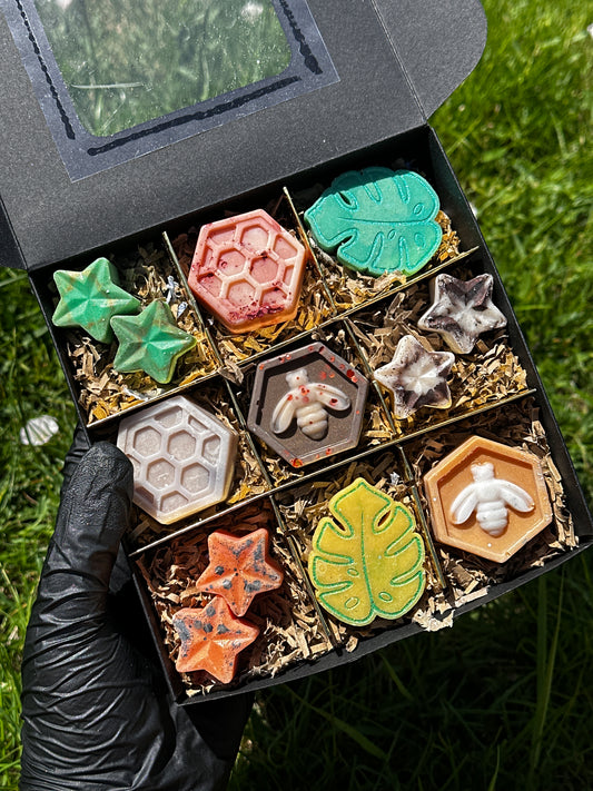 Woodland Calm Wax Melt Box 🐻