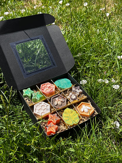 Woodland Calm Wax Melt Box 🐻