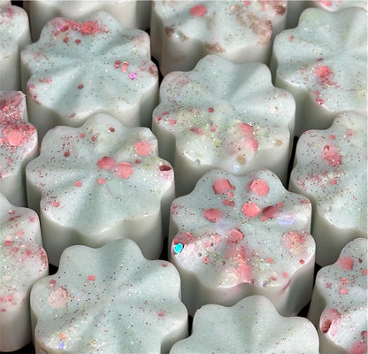 Fruity & Citrus Wax Melts – Pack of 6