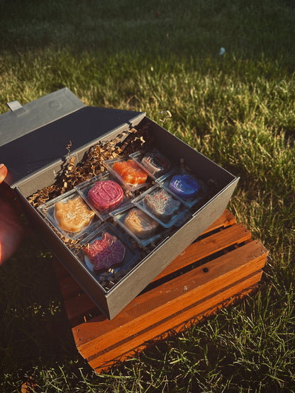 Whispers of Autumn Wax Melt Sample Box 🍂