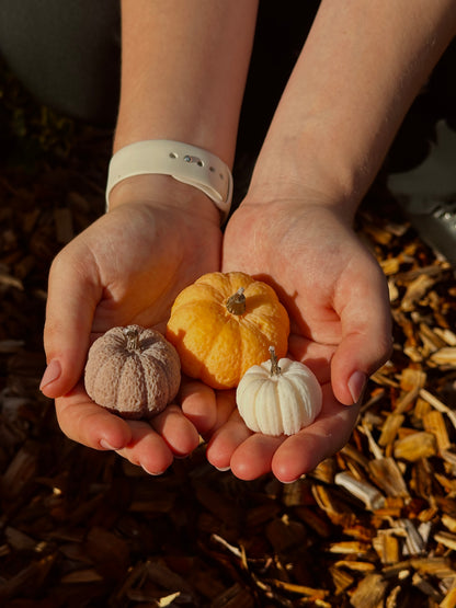 Pumpkin Candle Set - Rapeseed & Coconut Wax