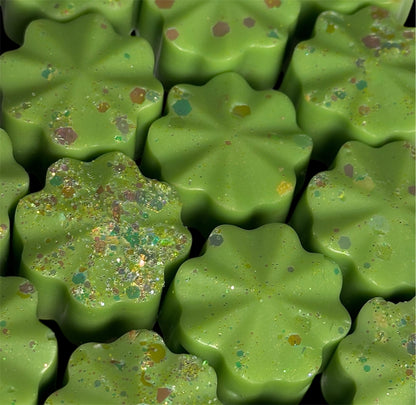 Fruity & Citrus Wax Melts – Pack of 6