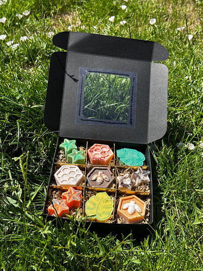 Woodland Calm Wax Melt Box 🐻