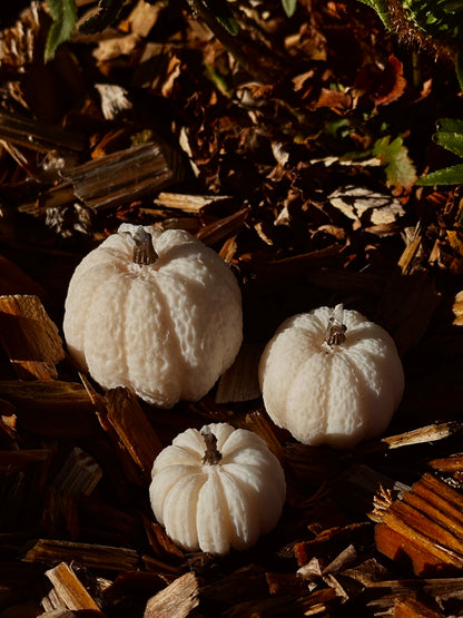 Pumpkin Candle Set - Rapeseed & Coconut Wax