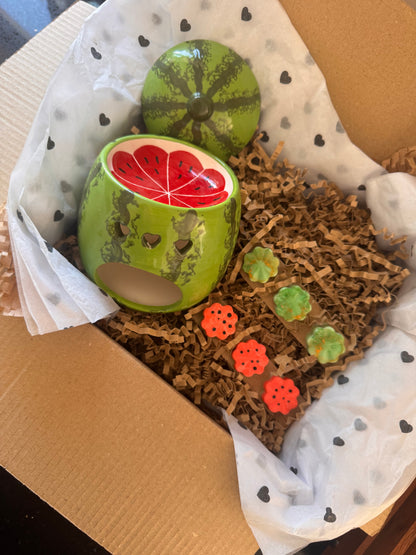 🍉 The Watermelon Melt Box – Fruity & Citrus Edition 🍊