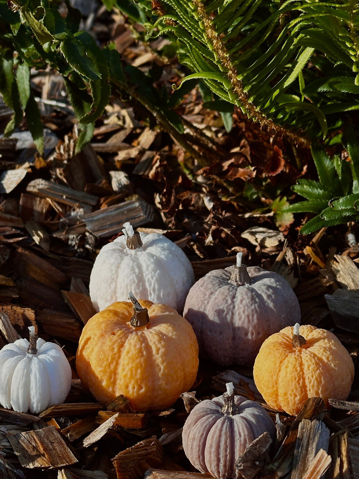 Pumpkin Candle Set - Rapeseed & Coconut Wax