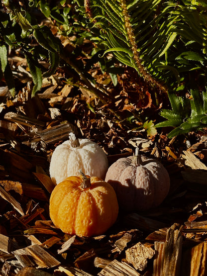Pumpkin Candle Set - Rapeseed & Coconut Wax