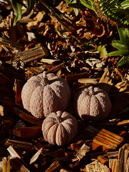 Pumpkin Candle Set - Rapeseed & Coconut Wax