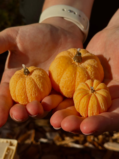 Pumpkin Candle Set - Rapeseed & Coconut Wax