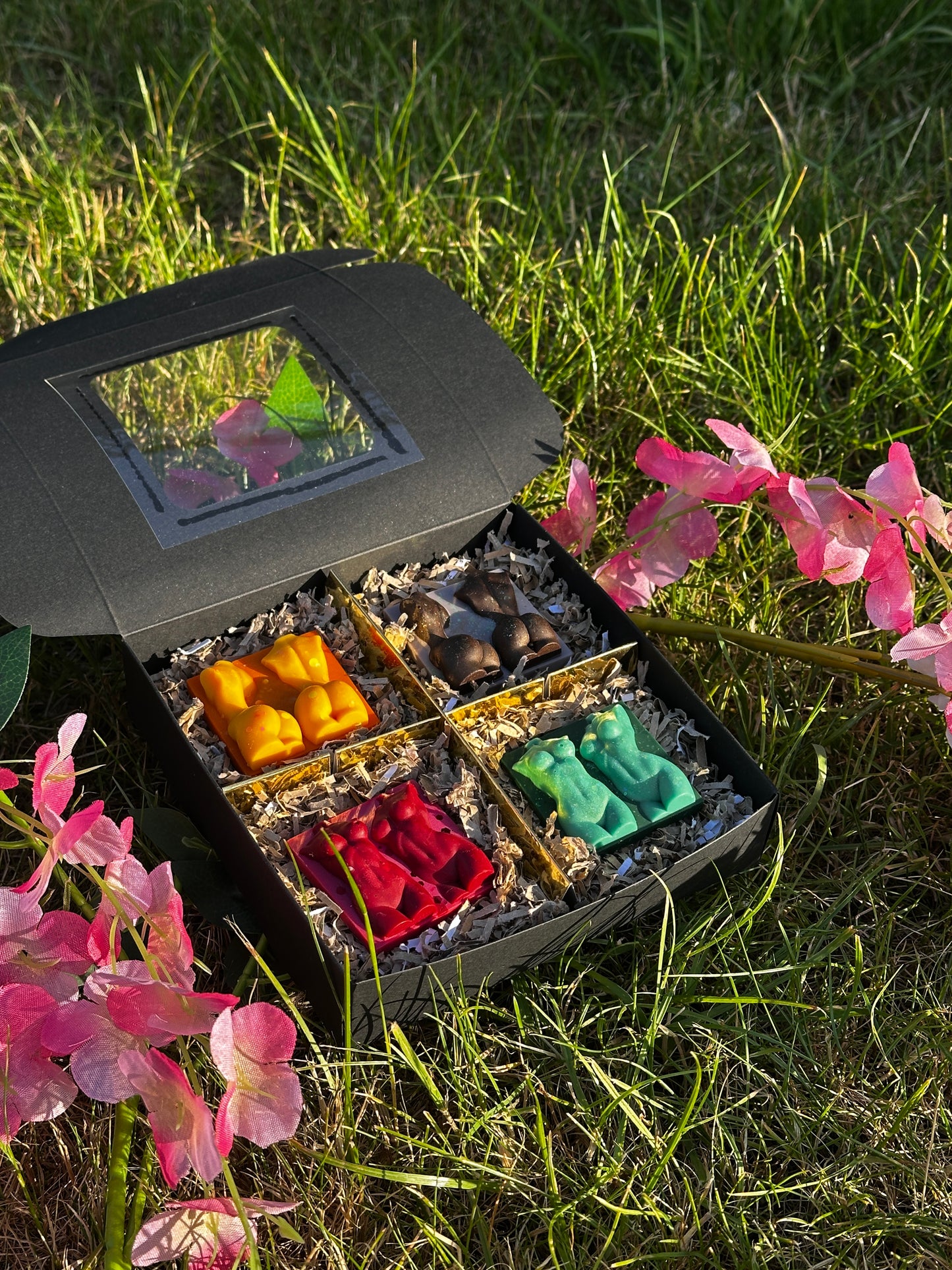 The Golden Hour Discovery Box ☀️✨