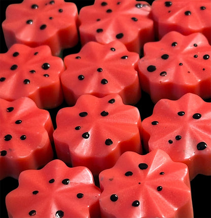 Fruity & Citrus Wax Melts – Pack of 6