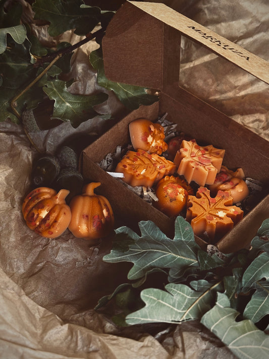🍂 Hello Autumn – 9 Autumn Wax Melts