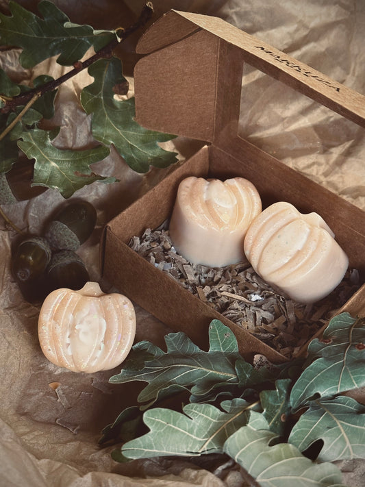 🍁 Golden Hearth – 3 Pumpkin Wax Melts