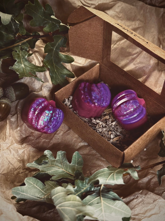 🍎 Moonlit Orchard – 3 Pumpkin Wax Melts