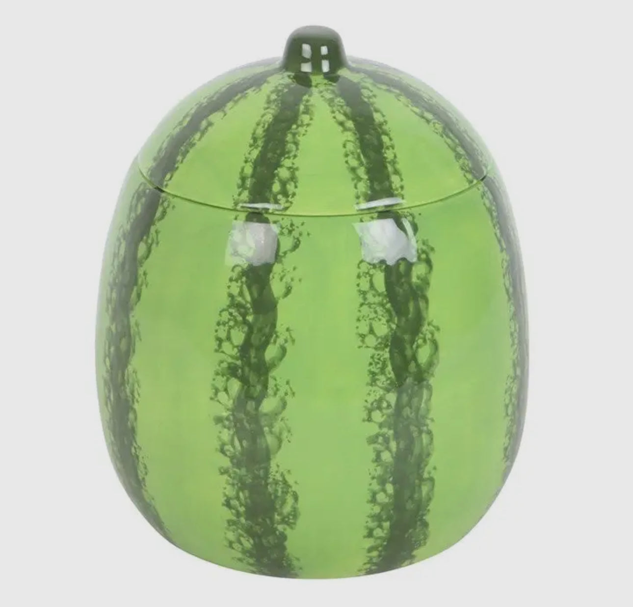 The Watermelon Wax Melter 🍉