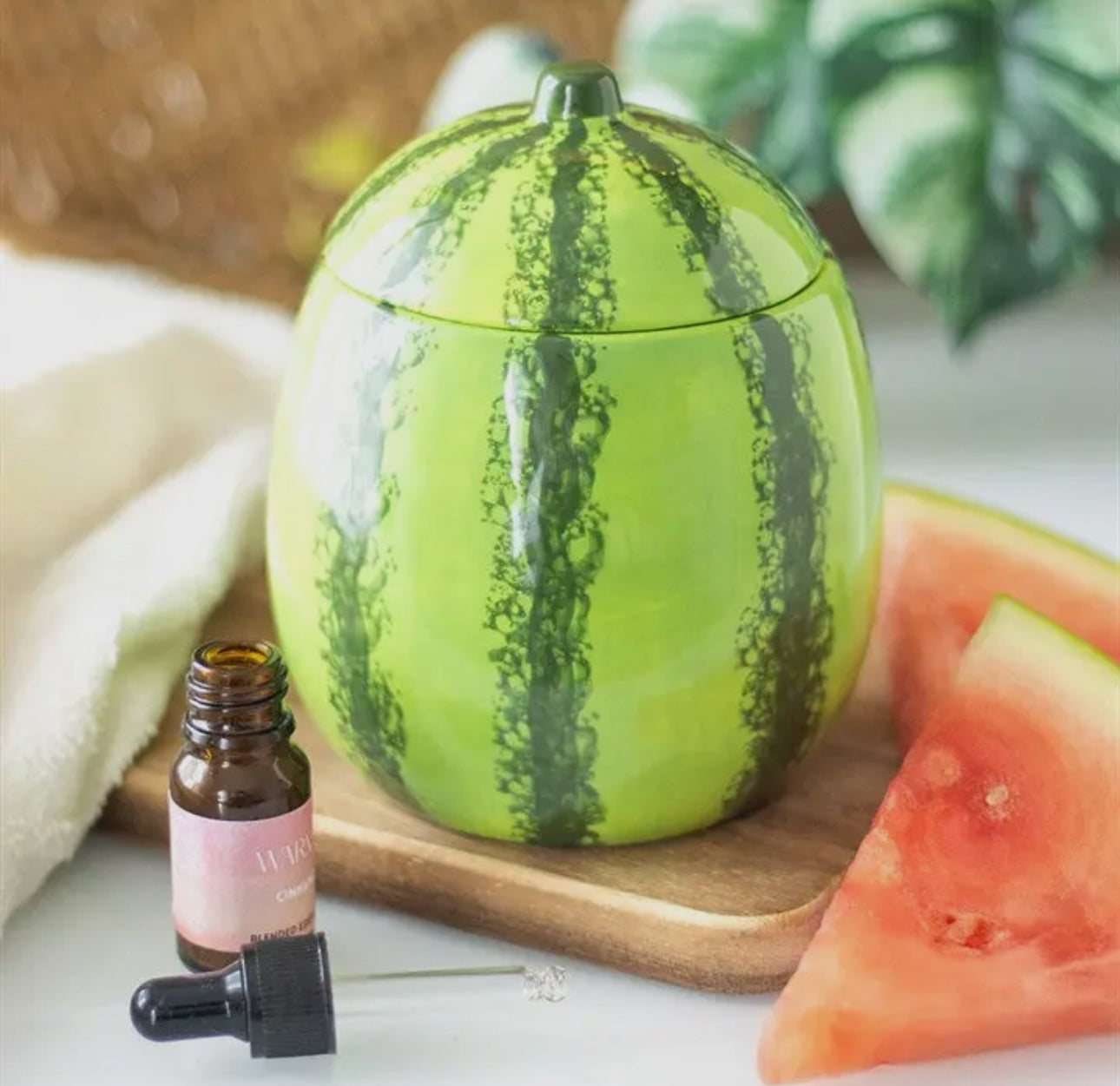 The Watermelon Wax Melter 🍉