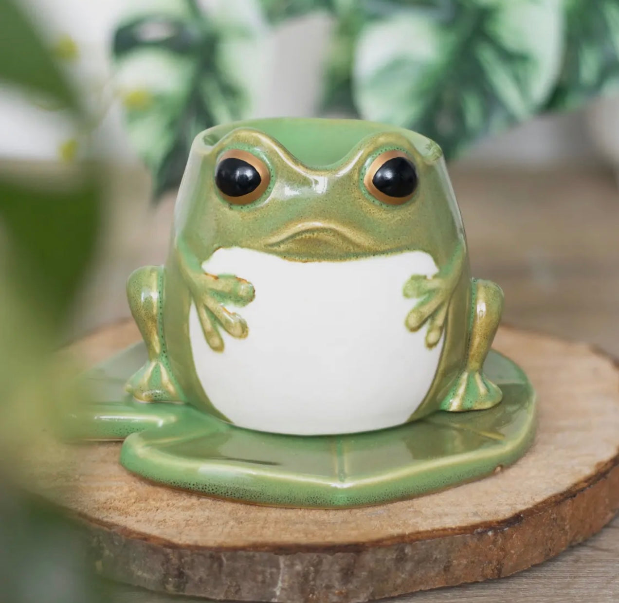 🐸 The Frog Wax Melter 🕯️