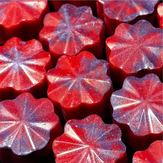 Fruity & Citrus Wax Melts – Pack of 6