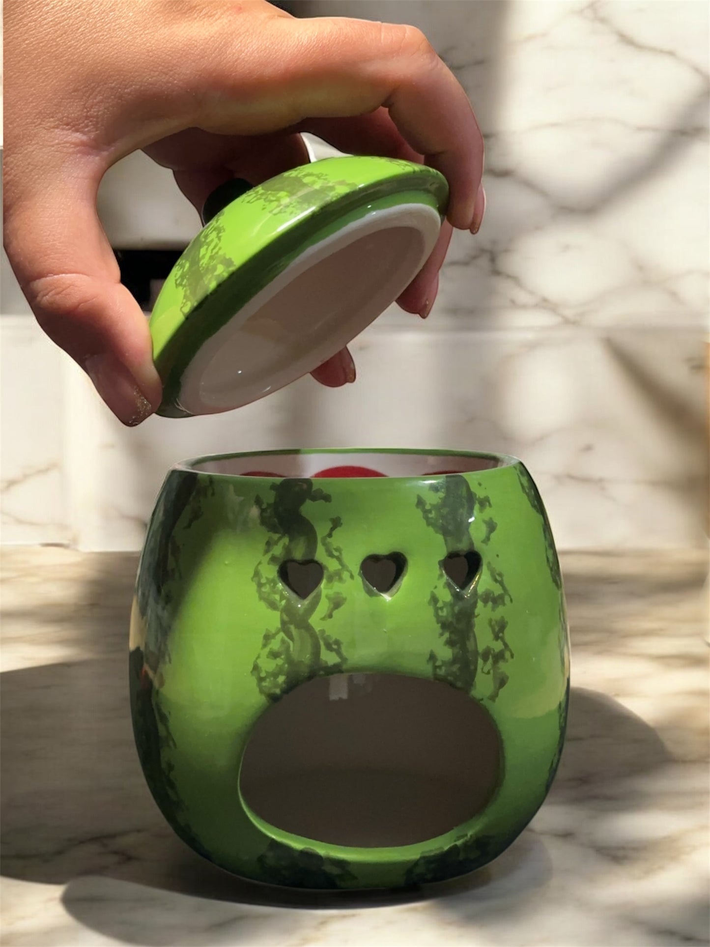 The Watermelon Wax Melter 🍉