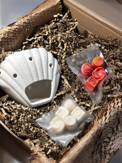 🕯️ The Shell Melt Box – Sweet & Gourmand Edition 🍬